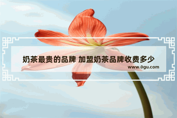 奶茶最贵的品牌 加盟奶茶品牌收费多少