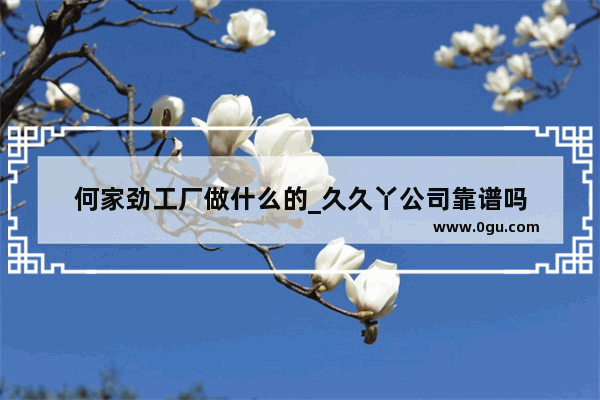何家劲工厂做什么的_久久丫公司靠谱吗