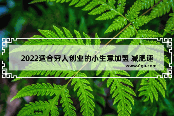 2022适合穷人创业的小生意加盟 减肥速食学生党小吃店加盟