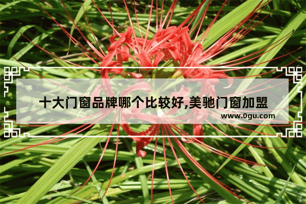 十大门窗品牌哪个比较好,美驰门窗加盟