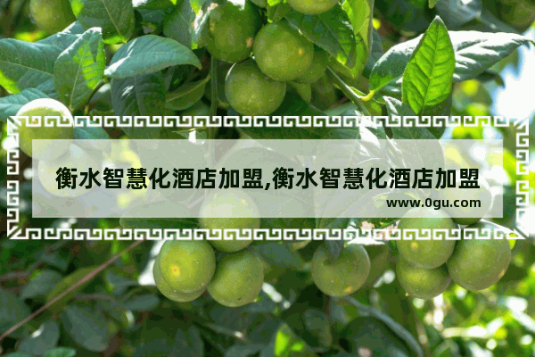 衡水智慧化酒店加盟,衡水智慧化酒店加盟