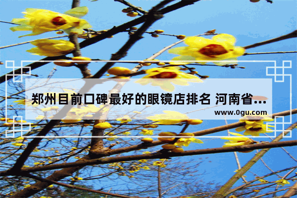 郑州目前口碑最好的眼镜店排名 河南省小吃加盟品牌排行榜