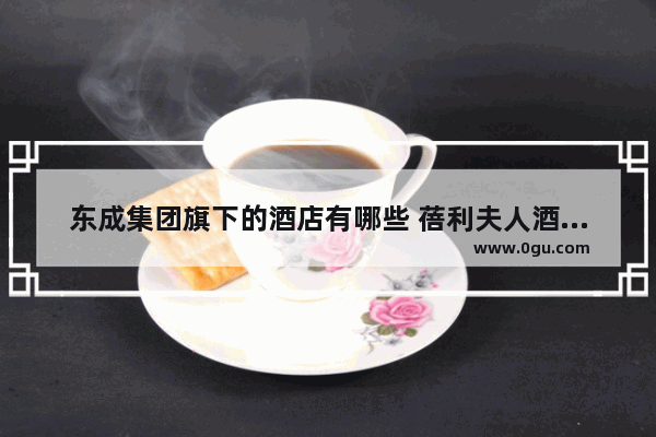 东成集团旗下的酒店有哪些 蓓利夫人酒店加盟方法