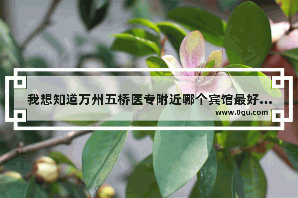 我想知道万州五桥医专附近哪个宾馆最好 又便宜环境又好 我马上要到医专读书了 想先了解一下,万州酒店加盟哪家好点呢