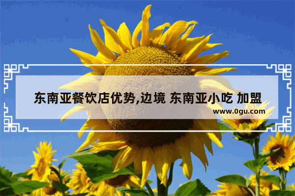 东南亚餐饮店优势,边境 东南亚小吃 加盟