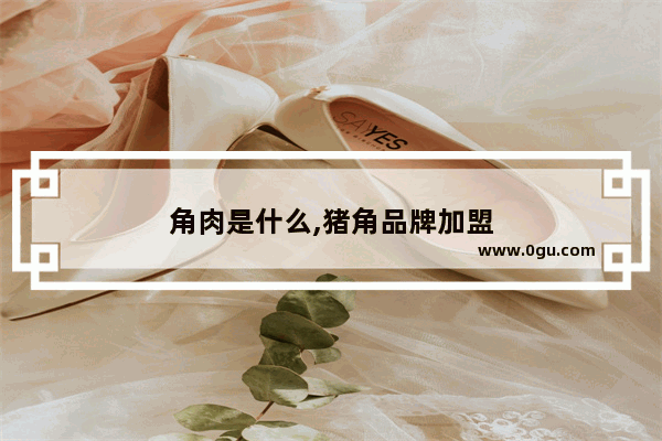 角肉是什么,猪角品牌加盟