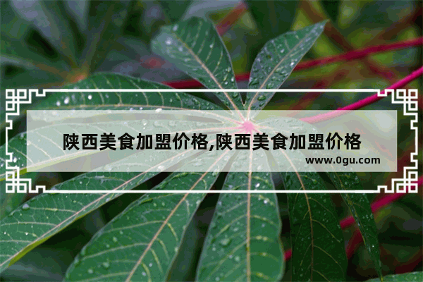 陕西美食加盟价格,陕西美食加盟价格