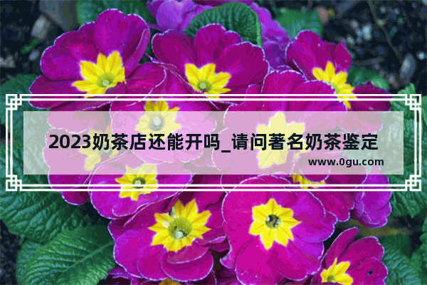 2023奶茶店还能开吗_请问著名奶茶鉴定家是什么意思