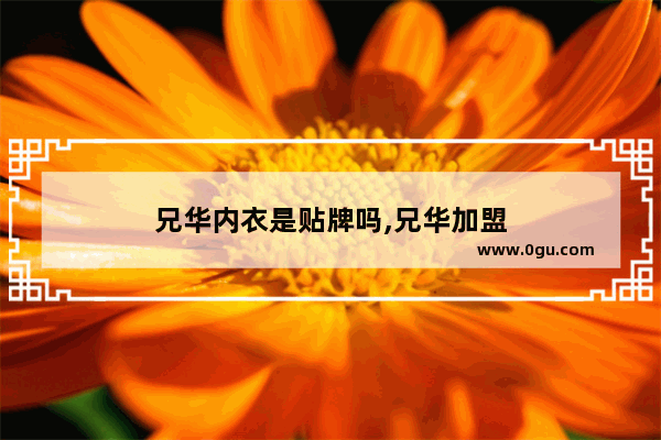 兄华内衣是贴牌吗,兄华加盟