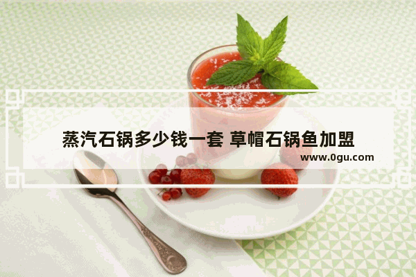 蒸汽石锅多少钱一套 草帽石锅鱼加盟