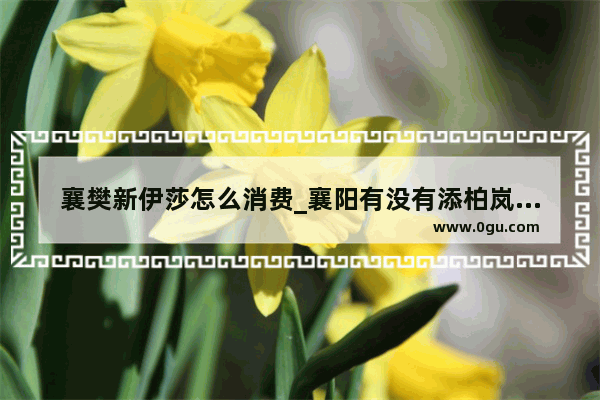 襄樊新伊莎怎么消费_襄阳有没有添柏岚专柜