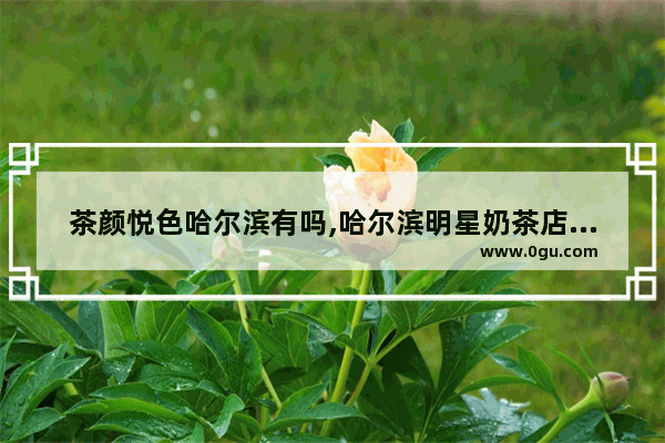 茶颜悦色哈尔滨有吗,哈尔滨明星奶茶店加盟