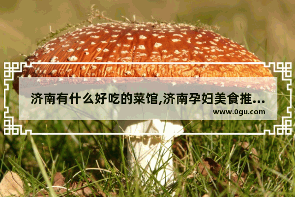 济南有什么好吃的菜馆,济南孕妇美食推荐店铺加盟