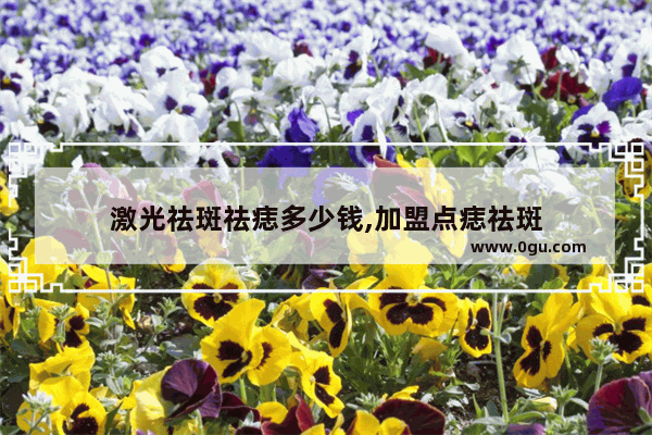激光祛斑祛痣多少钱,加盟点痣祛斑