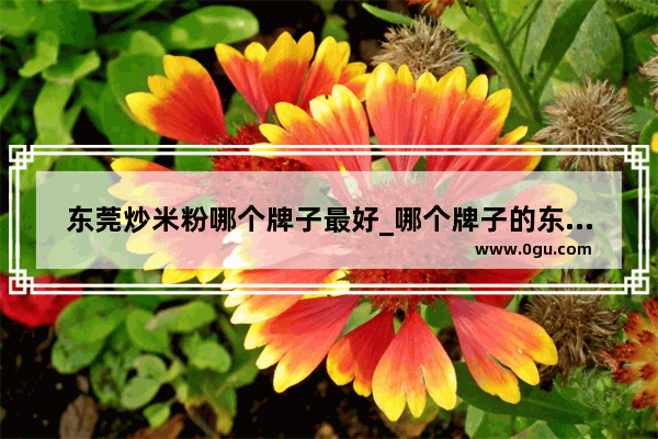 东莞炒米粉哪个牌子最好_哪个牌子的东莞米粉好