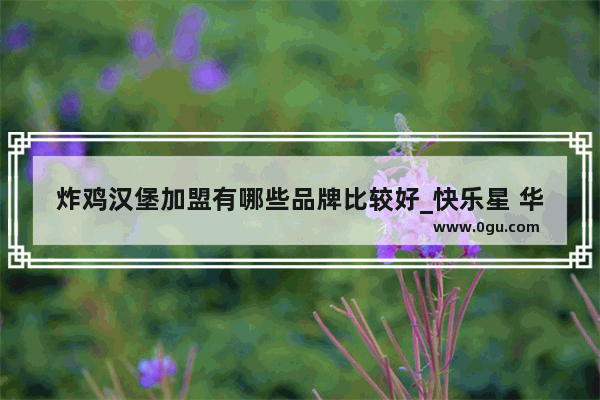 炸鸡汉堡加盟有哪些品牌比较好_快乐星 华莱士 德克士哪家有优势