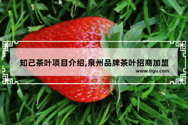知己茶叶项目介绍,泉州品牌茶叶招商加盟