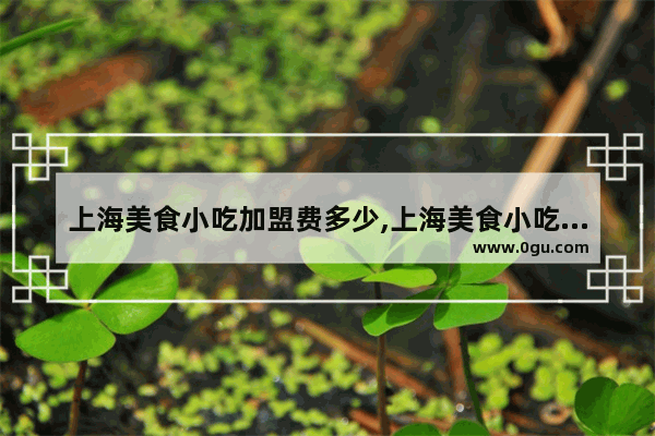 上海美食小吃加盟费多少,上海美食小吃加盟费多少