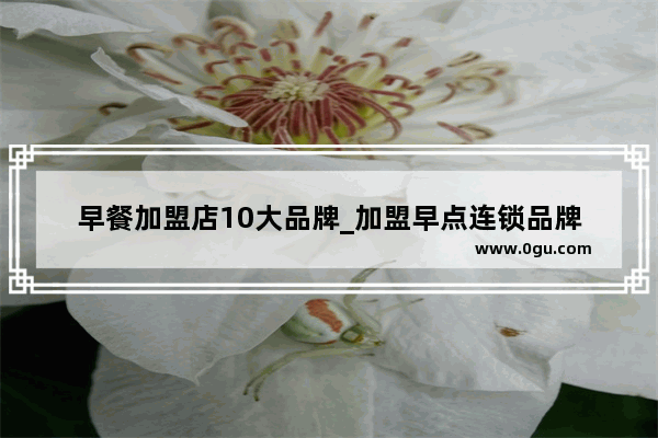 早餐加盟店10大品牌_加盟早点连锁品牌