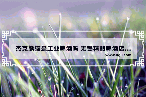 杰克熊猫是工业啤酒吗 无锡精酿啤酒店加盟