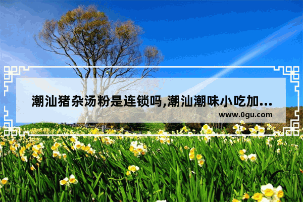 潮汕猪杂汤粉是连锁吗,潮汕潮味小吃加盟店有哪些