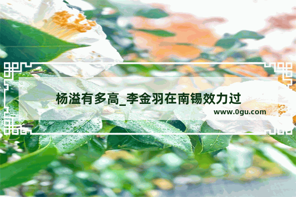 杨溢有多高_李金羽在南锡效力过