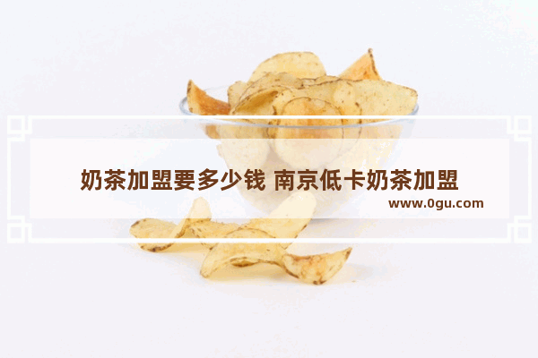 奶茶加盟要多少钱 南京低卡奶茶加盟