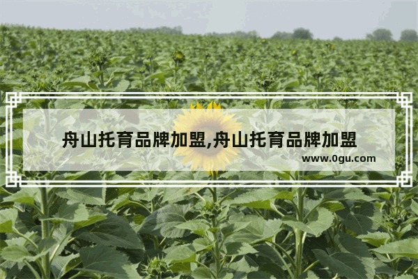舟山托育品牌加盟,舟山托育品牌加盟