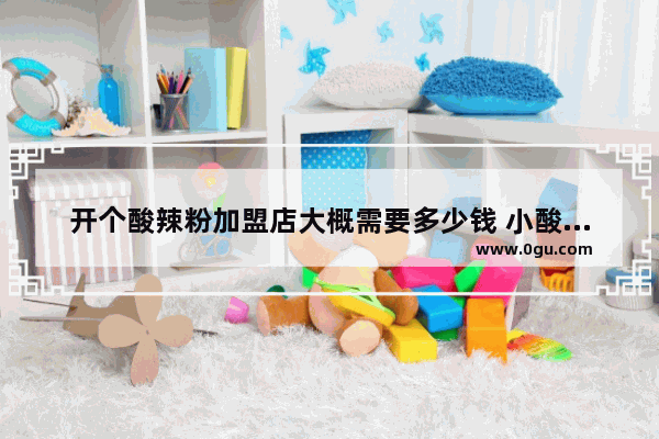 开个酸辣粉加盟店大概需要多少钱 小酸辣粉加盟店排行榜