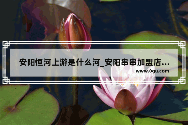 安阳恒河上游是什么河_安阳串串加盟店排行榜前十