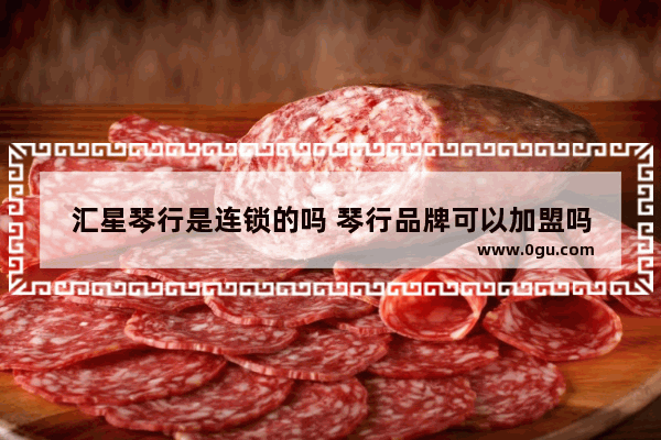 汇星琴行是连锁的吗 琴行品牌可以加盟吗