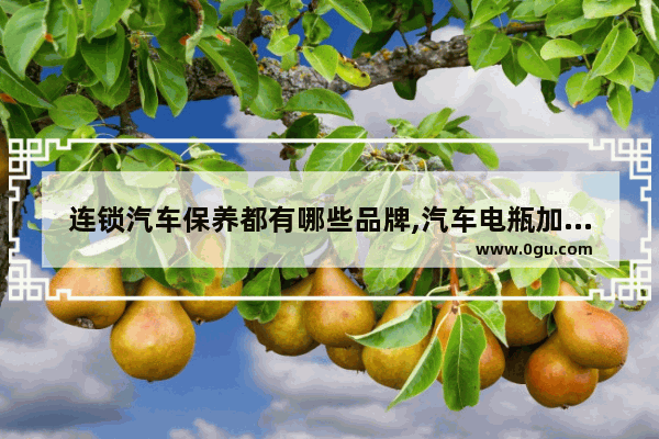 连锁汽车保养都有哪些品牌,汽车电瓶加盟店排行榜