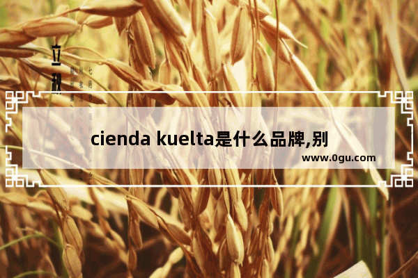 cienda kuelta是什么品牌,别墅电梯品牌加盟