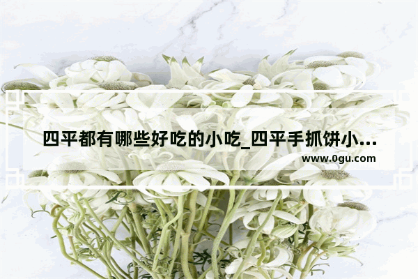 四平都有哪些好吃的小吃_四平手抓饼小吃加盟优势