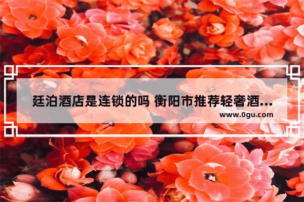 廷泊酒店是连锁的吗 衡阳市推荐轻奢酒店招商加盟