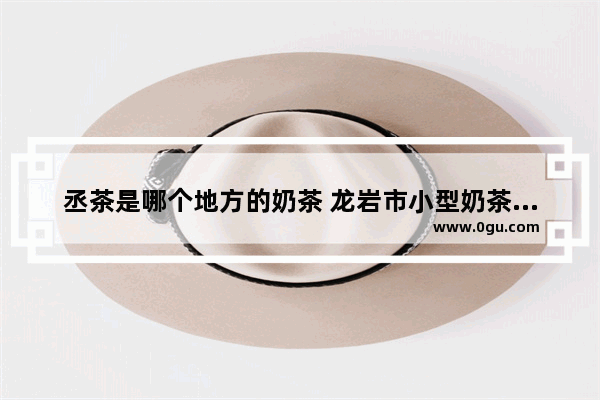 丞茶是哪个地方的奶茶 龙岩市小型奶茶店加盟