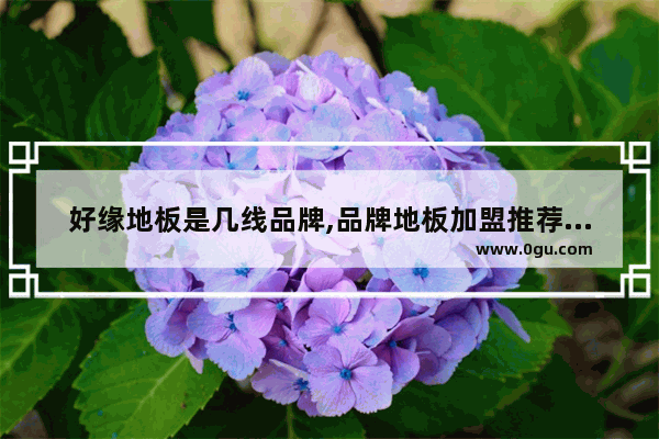 好缘地板是几线品牌,品牌地板加盟推荐哪家