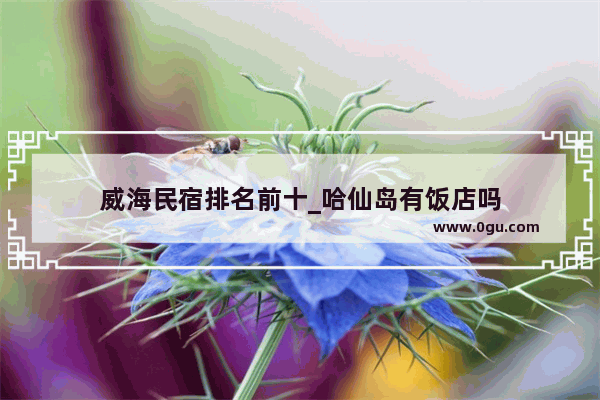 威海民宿排名前十_哈仙岛有饭店吗