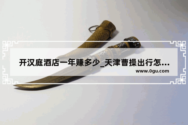 开汉庭酒店一年赚多少_天津曹操出行怎么加入