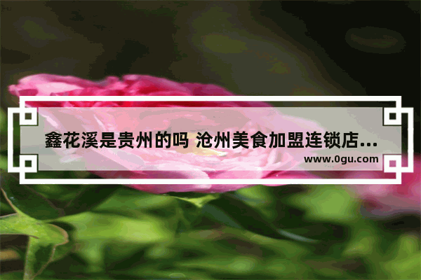 鑫花溪是贵州的吗 沧州美食加盟连锁店有哪些