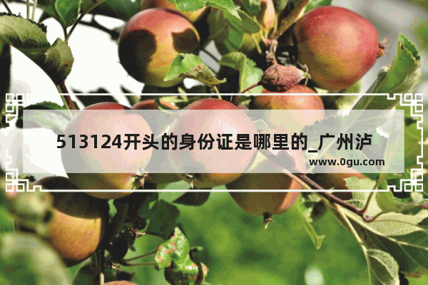 513124开头的身份证是哪里的_广州泸定火锅加盟店排行榜