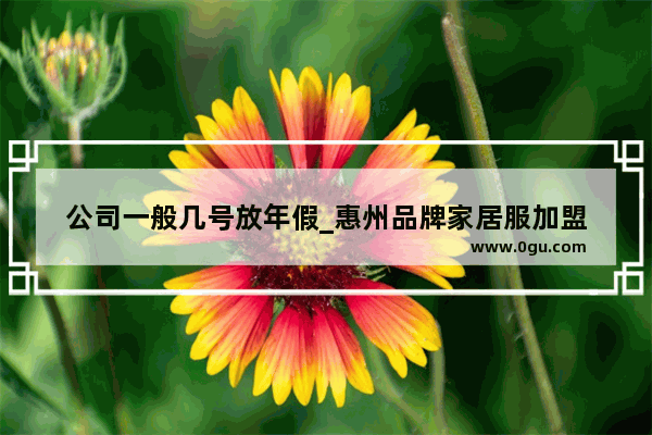 公司一般几号放年假_惠州品牌家居服加盟