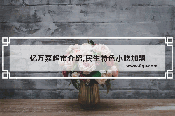 亿万嘉超市介绍,民生特色小吃加盟