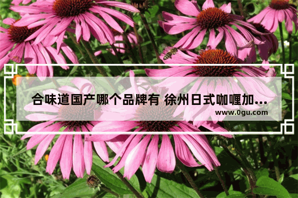合味道国产哪个品牌有 徐州日式咖喱加盟店排行榜
