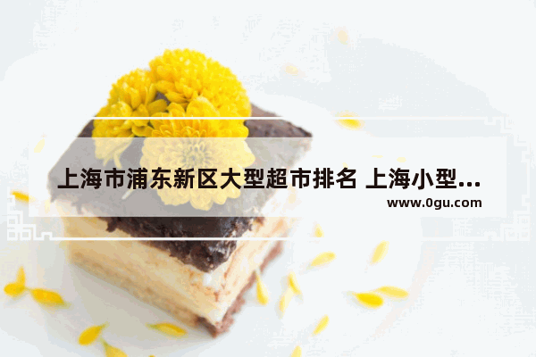 上海市浦东新区大型超市排名 上海小型超市加盟店排行榜