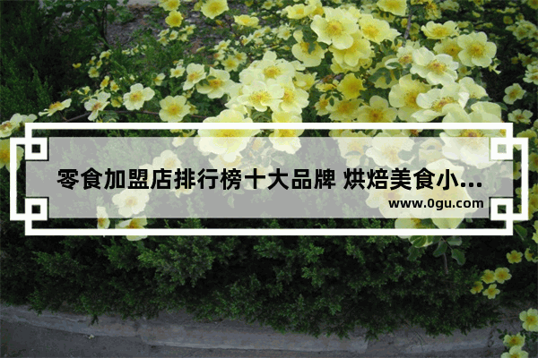 零食加盟店排行榜十大品牌 烘焙美食小糕点加盟店排行