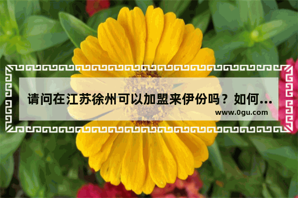 请问在江苏徐州可以加盟来伊份吗？如何加盟,徐州的小吃加盟店都有哪些