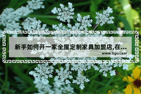 新手如何开一家全屋定制家具加盟店,在哪里加盟酒店家具