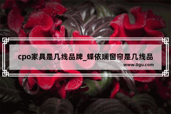 cpo家具是几线品牌_蝶依斓窗帘是几线品牌