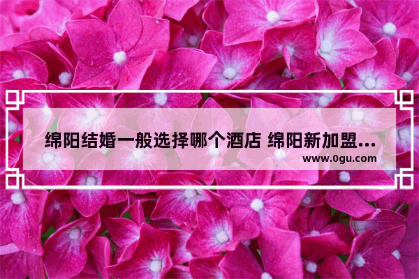 绵阳结婚一般选择哪个酒店 绵阳新加盟酒店排名